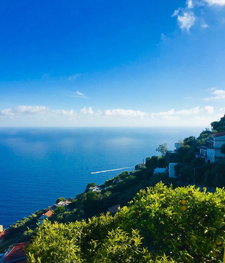 Casa Luisa & Milu , Coastal Retreats In Furore! * Furore